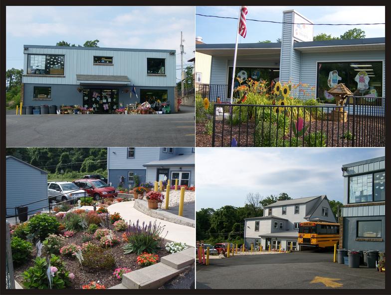 chidl care center school bus begonais marigolds 